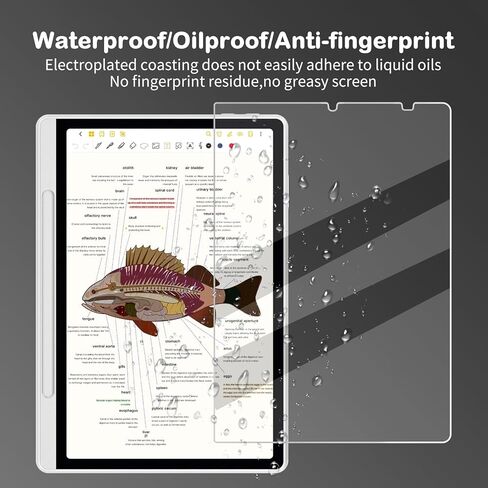 واقي شاشة مضاد للتوهج لجهاز XPPen Magic Note Pad Tablet مقاس 10.95 بوصة (2025) | مضاد لبصمات الأصابع | مقاوم للخدش | ملمس الورق | فيلم ناعم نانو غير لامع من PET | عبوتان | (غير لامع) in Kuwait