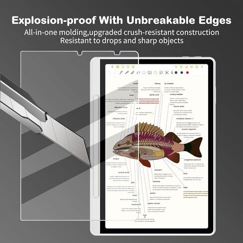 واقي شاشة مضاد للتوهج لجهاز XPPen Magic Note Pad Tablet مقاس 10.95 بوصة (2025) | مضاد لبصمات الأصابع | مقاوم للخدش | ملمس الورق | فيلم ناعم نانو غير لامع من PET | عبوتان | (غير لامع) in Kuwait