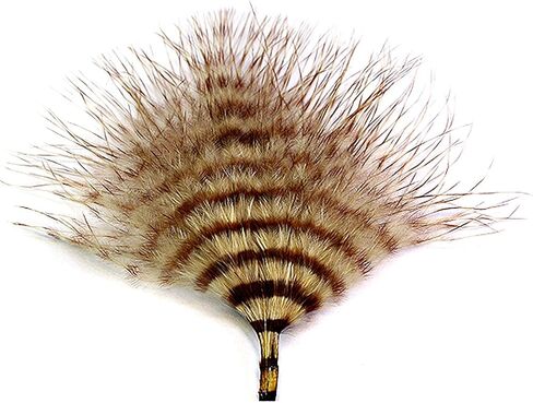 MFC Mini Barred Marabou in Kuwait