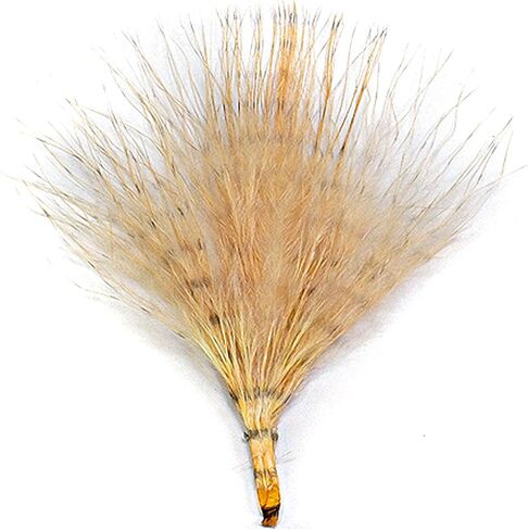 MFC Mini Barred Marabou in Kuwait