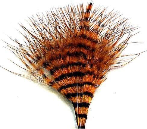MFC Mini Barred Marabou in Kuwait