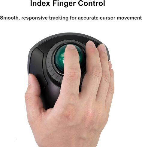 SANWA قطعتان من كرة التتبع البديلة مقاس 40 مم/1.57 بوصة لـ GMAWTB40، GMABTTB41، GMATB39، Kensington Orbit Fusion، وغيرها من فئران كرة التتبع المتوافقة، أخضر لامع + أرجواني in Saudi Arabia