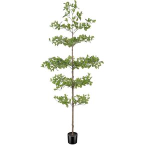 شجرة الزيتون السوداء السوداء 7 أقدام - شجرة سيدة مظللة مصطنعة بأوراق واقعية وفروع طبيعية ، 7 أقدام شجرة زيتون مزيفة للمنزل الداخلي والمكتب in Kuwait