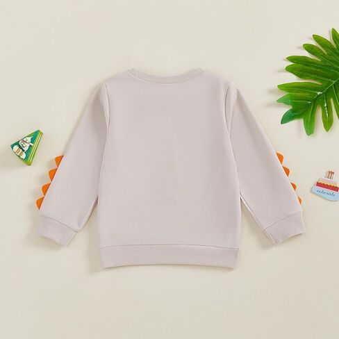 Dcohmch Second/2nd Birthday Outfit Girl Boy Dinosaur I’M Two Print Sweatshirt 2 Year Old Toddler Baby Shirt in Saudi Arabia