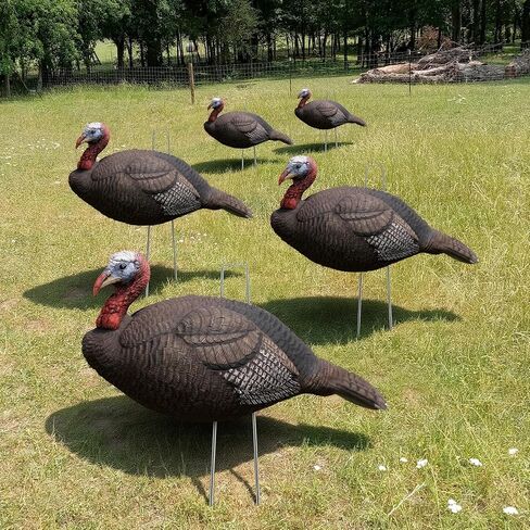 Novabright 5 قطعة 2D تركيا الأفخاخ الصيد حصة-خفيفة الوزن تركيا الأفخاخ قابلة للطي-القطب المحمولة لاستبدال حصة in Kuwait