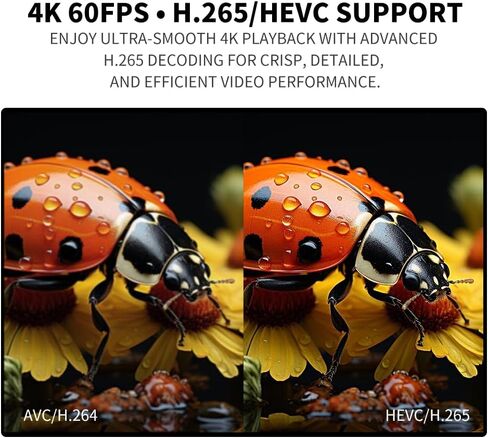 مشغل وسائط 4K لمحرك USB وSD، مشغل لافتات رقمية فائقة الدقة مع مخرج HDMI/AV، فيديو H.265 H.264 MKV MP4، موسيقى MP3، صور JPG، تشغيل واستئناف تلقائي، تشغيل متكرر in Saudi Arabia