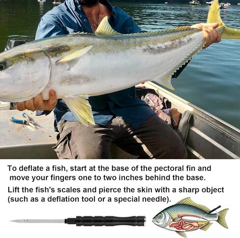 Fish Venting Tool, Stainless Steel Combination Fish Venting Tool Used to Vent Deep Sea Fishes Essential Tools for The Angler in Saudi Arabia