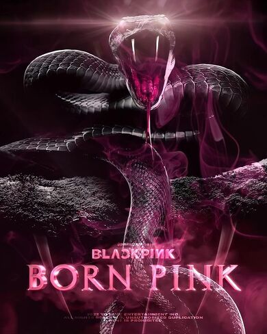 BLACKPINK BORN PINK 2nd Album BOX SET Version CD+Photobook+Accordion Lyrics Paper+Large Photocard+Postcard+Instant Film+Selfie Photocard+Tracking (GRAY Version)) in Saudi Arabia