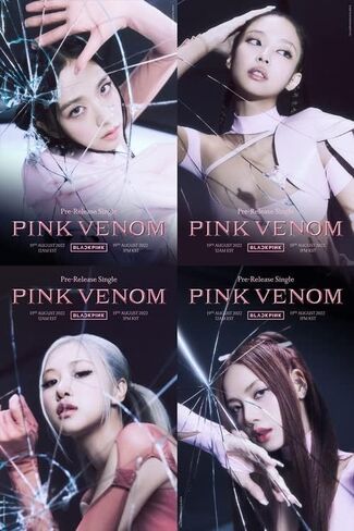 BLACKPINK BORN PINK 2nd Album BOX SET Version CD+Photobook+Accordion Lyrics Paper+Large Photocard+Postcard+Instant Film+Selfie Photocard+Tracking (GRAY Version)) in Saudi Arabia
