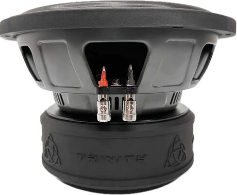 مضخم صوت Trinity Audio TAS-E10D2 مقاس 10 بوصات بقوة 2400 وات مزدوج 2 أوم in Saudi Arabia