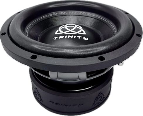 مضخم صوت Trinity Audio TAS-E10D2 مقاس 10 بوصات بقوة 2400 وات مزدوج 2 أوم in Saudi Arabia