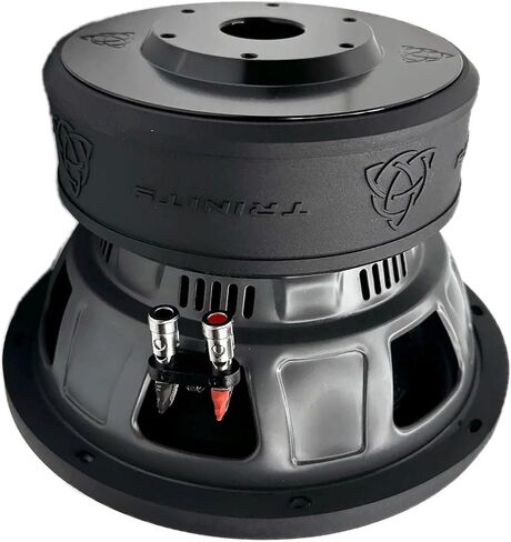 مضخم صوت Trinity Audio TAS-E10D2 مقاس 10 بوصات بقوة 2400 وات مزدوج 2 أوم in Saudi Arabia