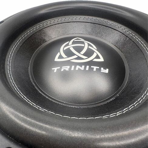 مضخم صوت Trinity Audio TAS-E10D2 مقاس 10 بوصات بقوة 2400 وات مزدوج 2 أوم in Saudi Arabia