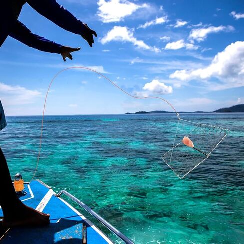 4 مجموعات من مصيدة السلطعون القابلة للصب، مصيدة السلطعون القابلة للطي مع حبل ومقياس السلطعون، معدات السلطعون المحمولة للمياه المالحة أو المياه العذبة in Kuwait
