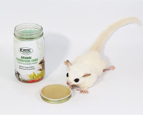 Gummivore-Fare - Original Flavor with Mealworms - Healthy All Natural Native Food Treat Sugar Gliders, Marmosets, Tamarins, and other Gum-Feeding Mammals - 8 oz. Jar - Acacia Gum-Based Supplement in Saudi Arabia