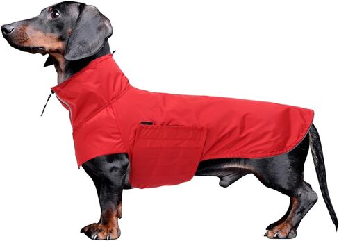 معطف واق من المطر من Geyecete Dachshund، معطف واق من المطر Dachshund مصغر مقاوم للماء وقابل للتعديل معطف واق من المطر Dachshund مع رقبة عالية مع فتحة للحزام من أجل Dachshund-Red-XL in Kuwait