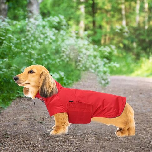معطف واق من المطر من Geyecete Dachshund، معطف واق من المطر Dachshund مصغر مقاوم للماء وقابل للتعديل معطف واق من المطر Dachshund مع رقبة عالية مع فتحة للحزام من أجل Dachshund-Red-XL in Kuwait
