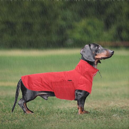 معطف واق من المطر من Geyecete Dachshund، معطف واق من المطر Dachshund مصغر مقاوم للماء وقابل للتعديل معطف واق من المطر Dachshund مع رقبة عالية مع فتحة للحزام من أجل Dachshund-Red-XL in Kuwait