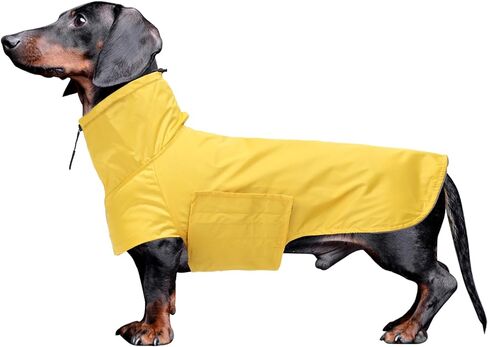 معطف واق من المطر من Geyecete Dachshund، معطف واق من المطر Dachshund مصغر مقاوم للماء وقابل للتعديل معطف واق من المطر Dachshund مع رقبة عالية مع فتحة للحزام من أجل Dachshund-Red-XL in Kuwait