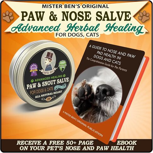 مرهم مستر بن الأصلي بالكامل للقدمين والأنف للكلاب والقطط. يلطف ويرطب ويشفي الأقدام المتشققة والأنوف الخشنة الجافة والمرفقين والجلد وأكثر من ذلك. (2 أوقية القصدير) in Kuwait