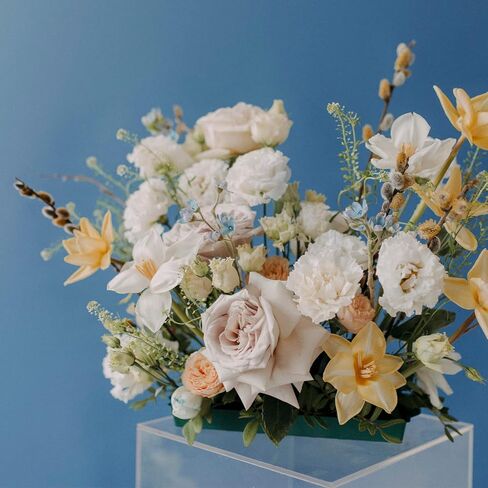 C CRYSTAL LEMON كتل رغوية زهرية 2 حزمة - 9 × 4.2 × 2.8 بوصة حامل باقة زهور لوازم الزهور الطازجة والاصطناعية - كتل إسفنجية من الزهور الخضراء للأعمال اليدوية والفنون والحرف اليدوية in Kuwait