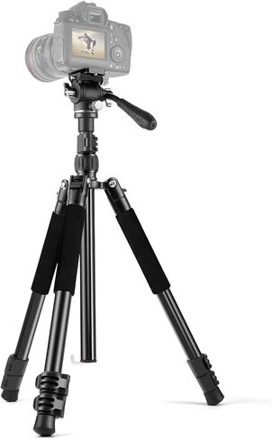 6.5ft Portable Adjustable Photography Light Stand with 1/4" Screw Quick Release, Camera Phone Tripod for Camera Video Light Smartphone, Lightweight for Travel in Saudi Arabia