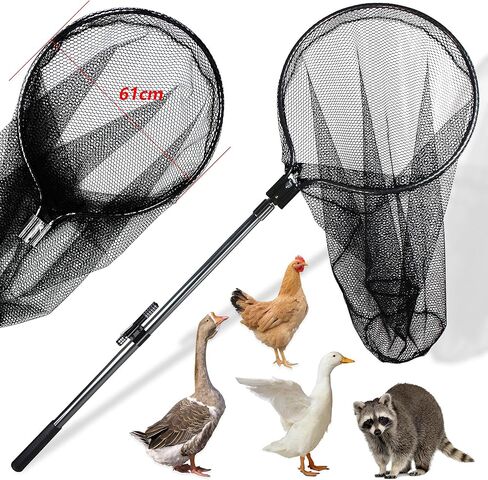 Catch Net Small Animal Control Net Poultry Catching Trap Tool for Cat, Chicken, Duck, Goose, Fish, Bird and Others (43~78" Telescoping Handle with 20.5" Net Opening) in Saudi Arabia