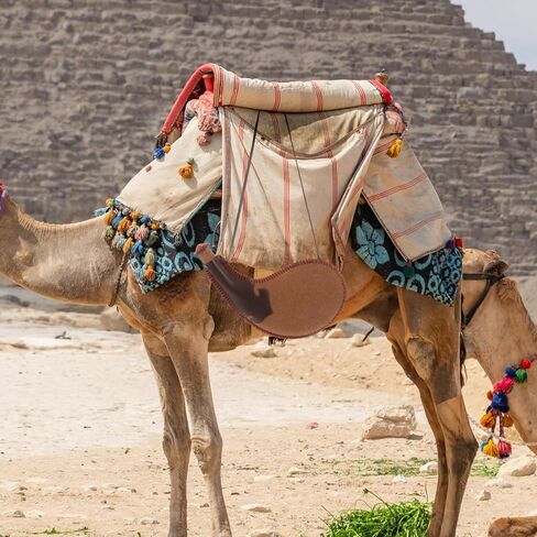 حقيبة المياه القديمة بوتا حقيبة تخزين النبيذ مع غطاء الختم وحزام الكتف المحمولة قارورة المياه الجلدية التقليدية للسفر والتخييم في الهواء الطلق in Kuwait
