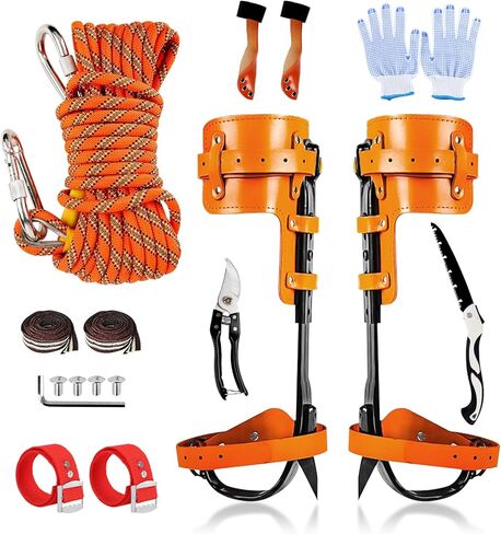 مسامير تسلق الأشجار، 304 من الفولاذ المقاوم للصدأ مع حزام جلدي قابل للتعديل، معدات مطورة لقطف الفاكهة، المراقبة، برتقالي in Kuwait