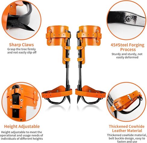 مسامير تسلق الأشجار، 304 من الفولاذ المقاوم للصدأ مع حزام جلدي قابل للتعديل، معدات مطورة لقطف الفاكهة، المراقبة، برتقالي in Kuwait