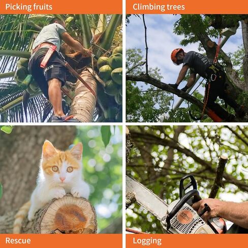 مسامير تسلق الأشجار، 304 من الفولاذ المقاوم للصدأ مع حزام جلدي قابل للتعديل، معدات مطورة لقطف الفاكهة، المراقبة، برتقالي in Kuwait