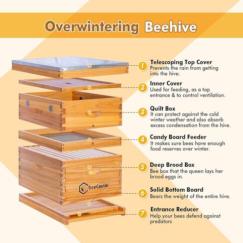 BeeCastle 10 Frame Beehive Candy Board for Langstroth Bee Hive, Beehive Assembled Candy Board for Bees, Bee Feeder for Winter in Saudi Arabia