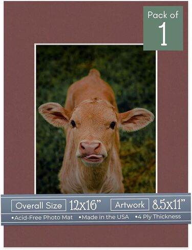 CountryArtHouse Metallic Gold Acid Free 12x16 Picture Frame Mats with White Core Bevel Cut for 8.5x11 Pictures - Fits 12x16 Frame - One Mat - with Bag & Backing in Saudi Arabia