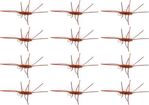 PAT’S Rubber Legs Nymph 12 Pack – Premium Hand Tied Trout Flies for Fly Fishing – Realistic Stonefly Imitation – Heavy, Durable, Proven Trout Fly Set in Kuwait