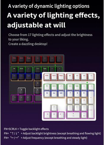 Tangxi Mechanical Number Pad with Blue Switch, 34 Keys Wired Numeric Keypad with RGB Backlight and Stair Step Key Layout, Ergonomic Numpad for Laptop PC Desktop (White) in Saudi Arabia