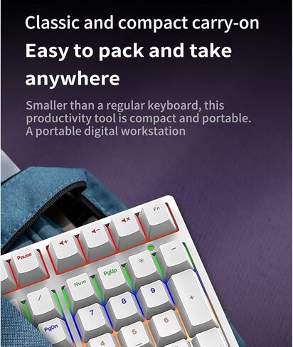 Tangxi Mechanical Number Pad with Blue Switch, 34 Keys Wired Numeric Keypad with RGB Backlight and Stair Step Key Layout, Ergonomic Numpad for Laptop PC Desktop (White) in Saudi Arabia