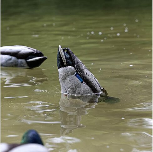 شرك تغذية البطة من Avian X Tip Up مالارد in Kuwait