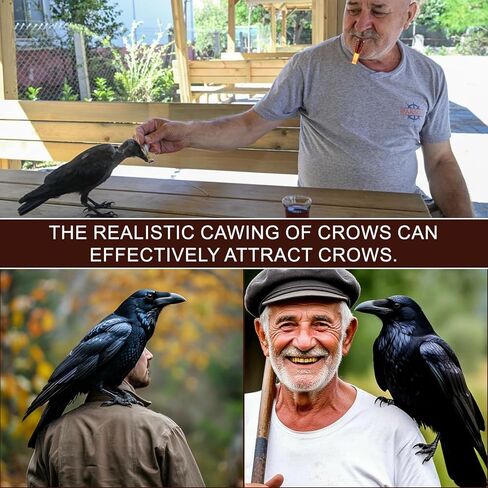 دعوة الغراب، المتصل الغراب المحمولة لجذب الغربان، صافرة إغراء الغراب الغراب، صفارات المتصل التقليد الصيد الغراب، صافرة الغراب، للاستخدام في الهواء الطلق، مبتدئين، المهنية in Kuwait