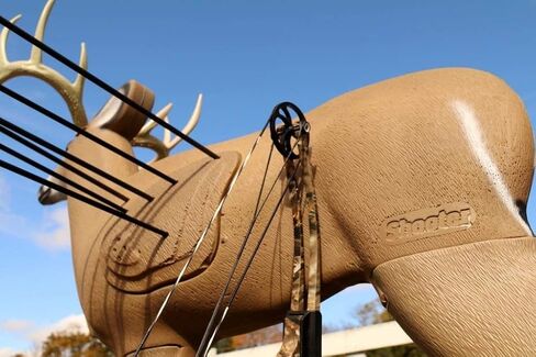 إدراج استبدال المنطق الميداني لأهداف الرماية ثلاثية الأبعاد Shooter Buck in Kuwait