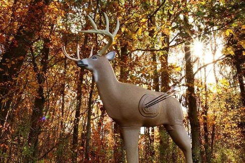 إدراج استبدال المنطق الميداني لأهداف الرماية ثلاثية الأبعاد Shooter Buck in Kuwait