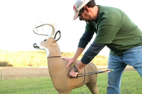 GLENDEL Crossbow Buck هدف الغزلان للرماية ثلاثي الأبعاد مع قلب قابل للاستبدال، حجم الحياة 200 رطل، بني in Kuwait
