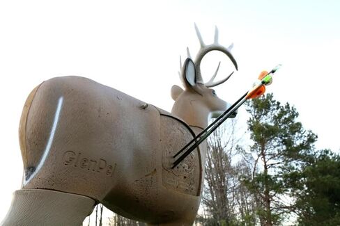 GLENDEL Crossbow Buck هدف الغزلان للرماية ثلاثي الأبعاد مع قلب قابل للاستبدال، حجم الحياة 200 رطل، بني in Kuwait