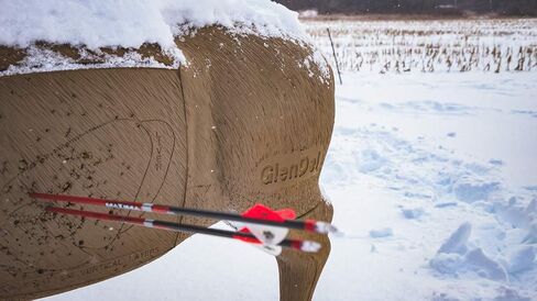 GLENDEL Crossbow Buck هدف الغزلان للرماية ثلاثي الأبعاد مع قلب قابل للاستبدال، حجم الحياة 200 رطل، بني in Kuwait