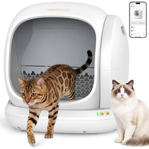 صندوق فضلات القطط ذاتي التنظيف من Meowant - صندوق فضلات أوتوماتيكي مفتوح من الأعلى مع تطبيق، 0 خطر وجود قطط عالقة، صناديق فضلات أوتوماتيكية أكثر أمانًا، مدخل منخفض للقطط المتعددة in Kuwait