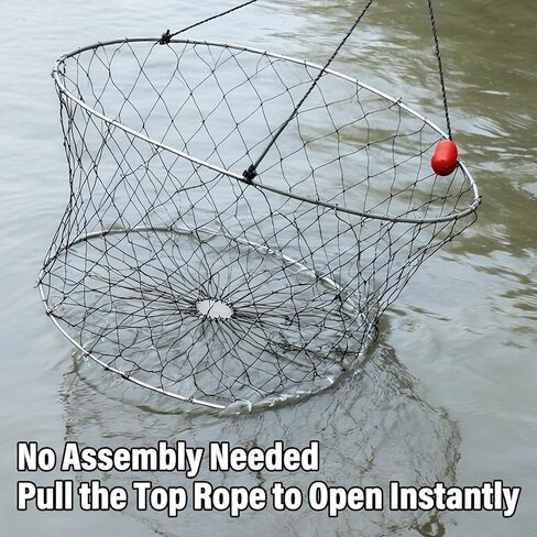 Dr.Fish Double Ring Crab Trap Kit, Crabbing Net with Crab Gauge & Bait Clip Lobsters Minnows Shrimp Crayfish Crawdad Trap Net for Docks, Shorelines, Boats and Kayaks Use in Saudi Arabia