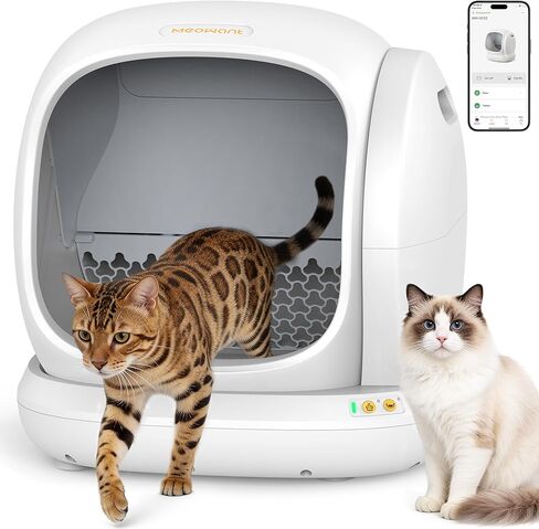 Meowant Self Cleaning Cat Litter Box - Open-Top Automatic Litter Box with APP, 0 Risk of Stuck Cats, Safer Automatic Litter Boxs, Low Entrance for Multiple Cats in Saudi Arabia