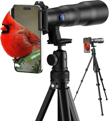 عدسة APEXEL 50x Telephoto لهواتف iPhone و Android | الحياة البرية القمر تصوير تلسكوب أحادي | مع مشبك عالمي وحامل ثلاثي القوائم | عدسة تكبير بصرية عالية الوضوح لمشاهدة المناظر الطبيعية المستهدفة in Saudi Arabia