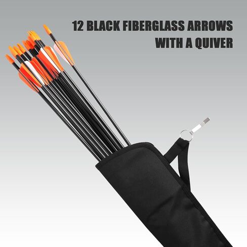 Compound Bow and Arrow for Youth and Beginner, Archery Bow Set for Kids 8-12, 16-20 lbs Draw Weight, 17.3"-26" Draw Length in Saudi Arabia