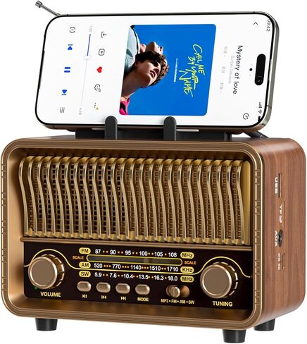 Portable Radio AM FM SW Bluetooth, Retro Radios Vintage Transistor with Best Sound, D Battery Operated/USB Rechargeable, Support TF Card/USB Playing in Kuwait