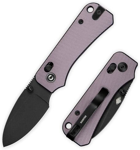 سكين جيب صغير من CIVIVI لـ EDC، سكين قابل للطي بقفل العارضة Baby Banter 2 مع مقبض Nitro-V Blade Micarta مقاس 2.34 بوصة، فتاحة مسامير إبهام من التيتانيوم C23074-3 in Kuwait
